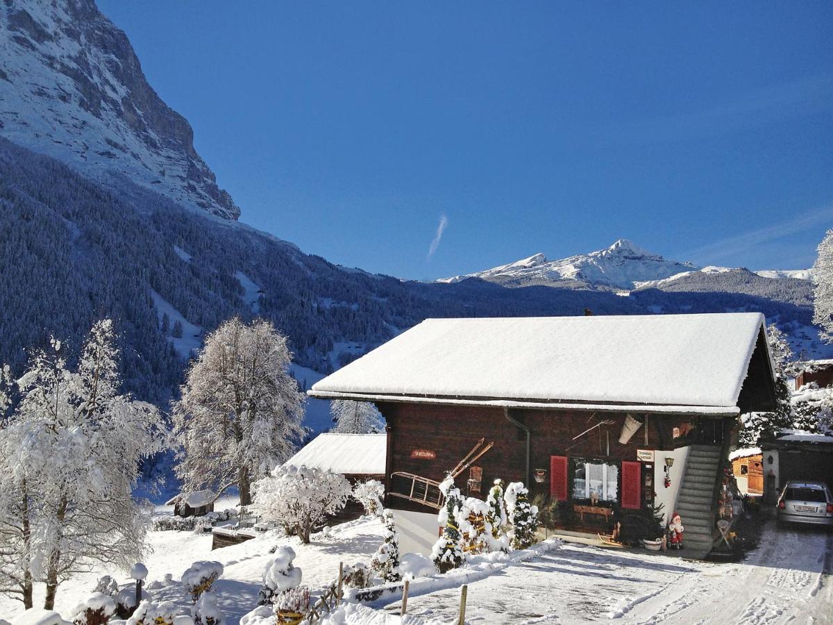 Apartment Chalet Baergsunna-3 By Interhome Grindelwald Zewnętrze zdjęcie