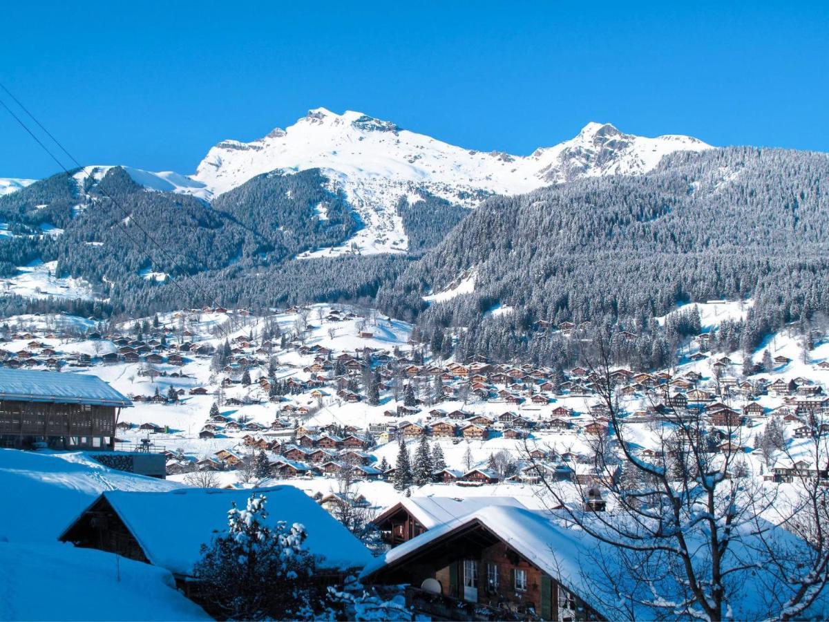 Apartment Chalet Baergsunna-3 By Interhome Grindelwald Zewnętrze zdjęcie